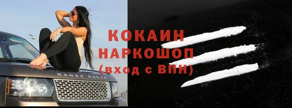 СК Алексин