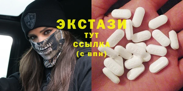 СК Алексин
