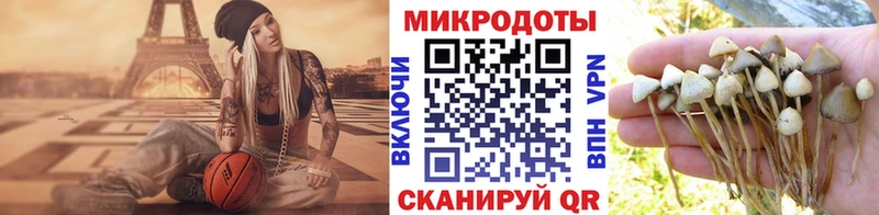 как найти закладки  mega сайт  Галлюциногенные грибы Psilocybine cubensis  Новороссийск 